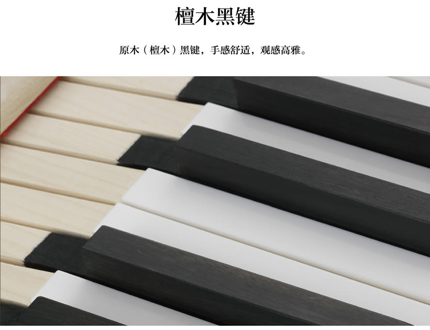 未命名-1.jpg