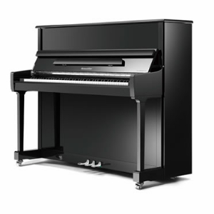 RS118